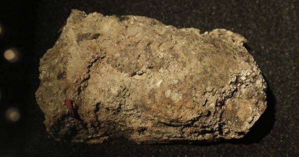 Лондонский жировик из канализации появится в музее: омерзительный экспонат