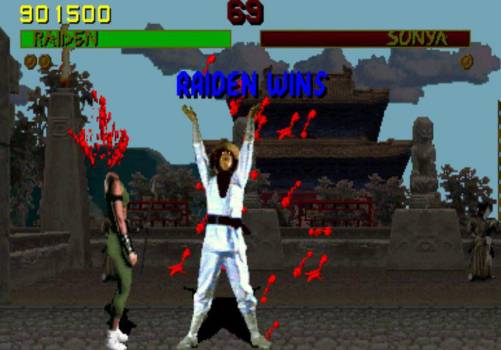 В Мировой зал славы видеоигр вошли Mortal Kombat и «Косынка»
