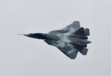 Китайские эксперты не оставили шанса российским истребителям в Индии Китайские эксперты не оставили шанса российским истребителям в Индии