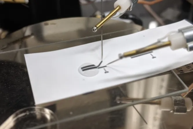 Новая эра полностью перерабатываемой электроники: транзистор из наноцеллюлозы