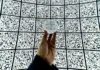 Москвичам, которые заказали татуировки с QR-кодом для посещения ресторанов, вернут средства Москвичам, которые заказали татуировки с QR-кодом для посещения ресторанов, возвратят средства